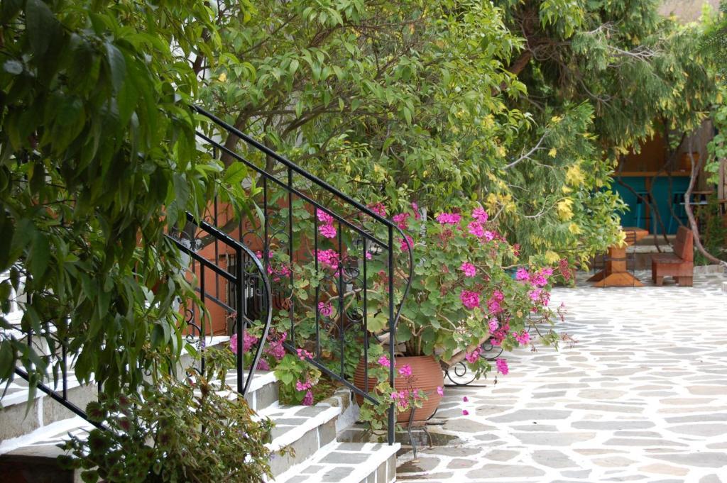Hotel Villa Marie Sivota  Ngoại thất bức ảnh