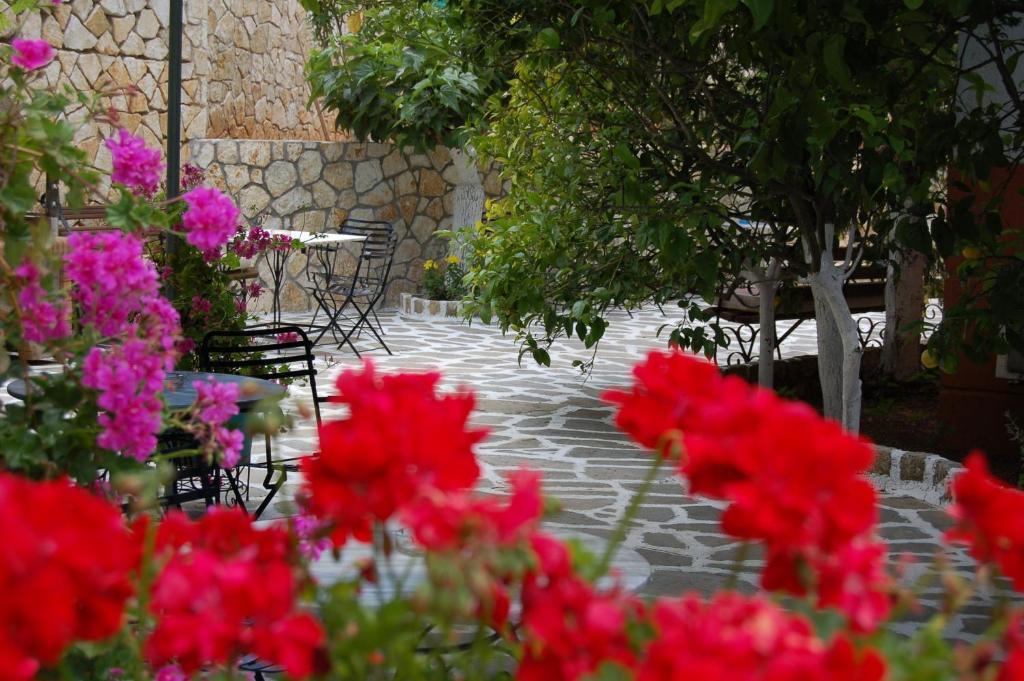 Hotel Villa Marie Sivota  Ngoại thất bức ảnh